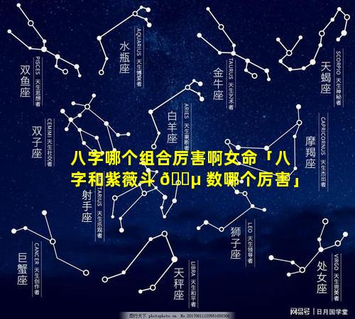 八字哪个组合厉害啊女命「八字和紫薇斗 🌵 数哪个厉害」